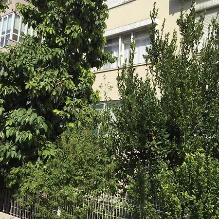 Oni's Apartment